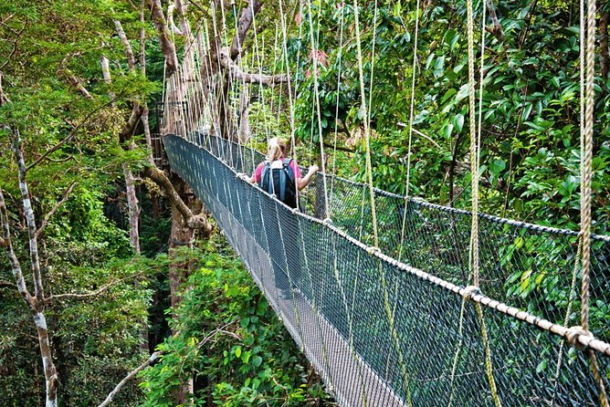 From Kuala Lumpur Taman Negara Day Trip With Lunch - Why this Taman Negara day trip is worth considering