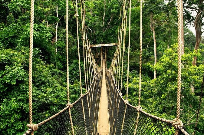 From Kuala Lumpur Taman Negara Day Trip With Lunch - Boat rides, blowpipes, and rapid shooting