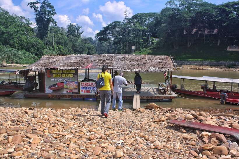 From Kuala Lumpur: Taman Negara National Park Trek Day Tour - Key points to know before booking