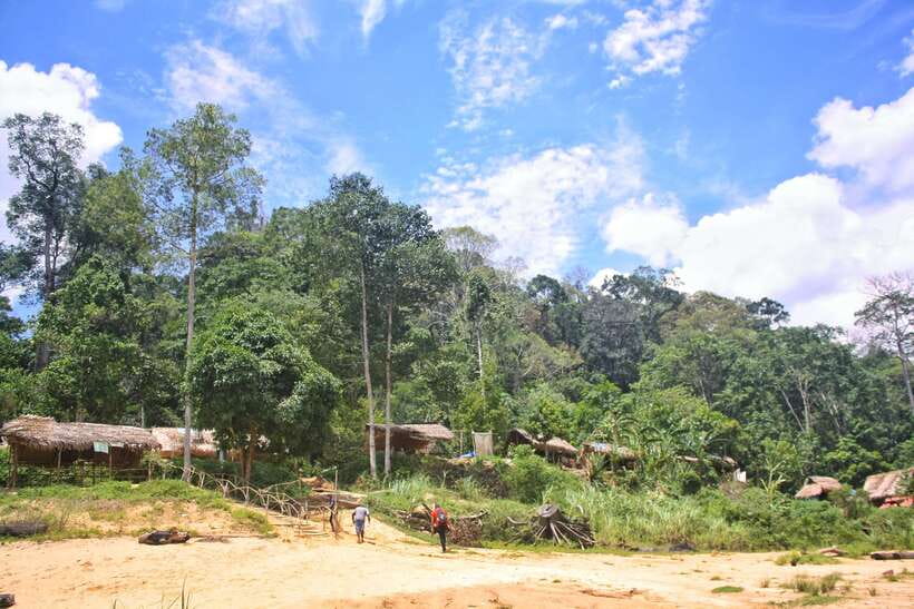 From Kuala Lumpur: Taman Negara National Park Trek Day Tour - Should you book the Taman Negara day trip?