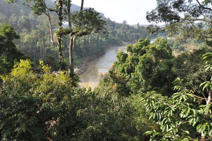 From Kuala Lumpur: Taman Negara National Park Trek Day Tour - The Teresek Hill hike is short on distance, big on sweat