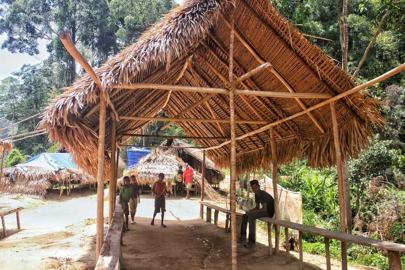 From Kuala Lumpur: Taman Negara National Park Trek Day Tour - Who should book this day tour?
