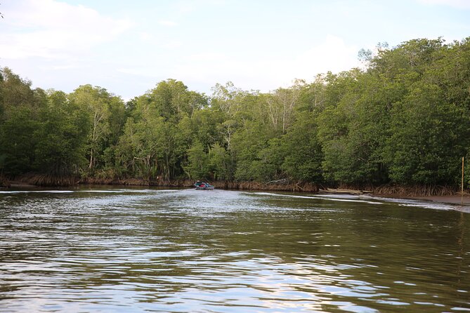 Full Day Bongawan River Cruise with Proboscis Monkey Sightseeing - Fireflies on the evening cruise