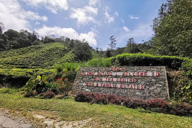 Full-day Cameron Highlands Day Trip from Kuala Lumpur - Brinchang, dinner, and the missing detail to clarify