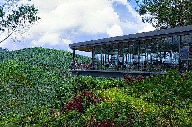 Full Day Cameron Highlands Nature Tour - Tea at Cameron Bharat Tea Estate
