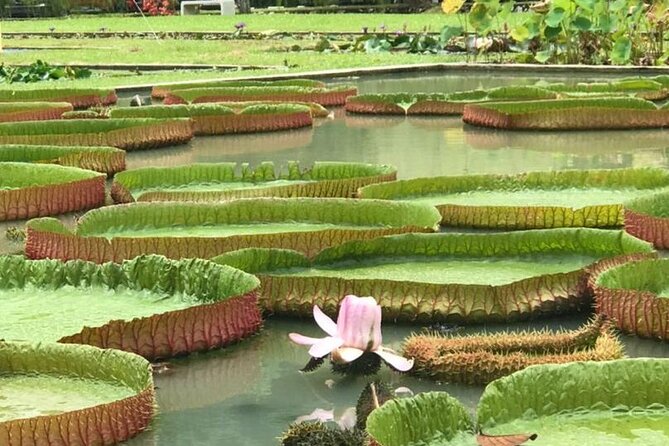 Full Day Flexi Private Tour in Penang Island with Pickup - Heat, walking, and keeping the day realistic