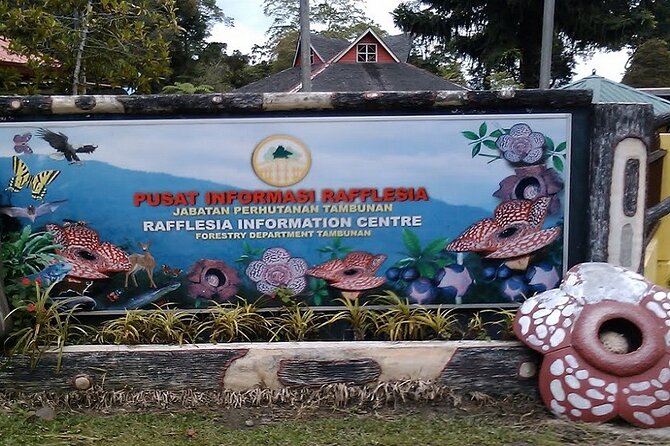 Full Day JomTour! Memorable Experience in Kota Kinabalu, Sabah - Who will get the most from this private Sabah day