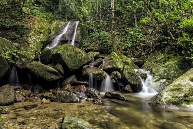 Full-Day Kinabalu Park and Poring Hot Spring Day Trip - Key points at a glance