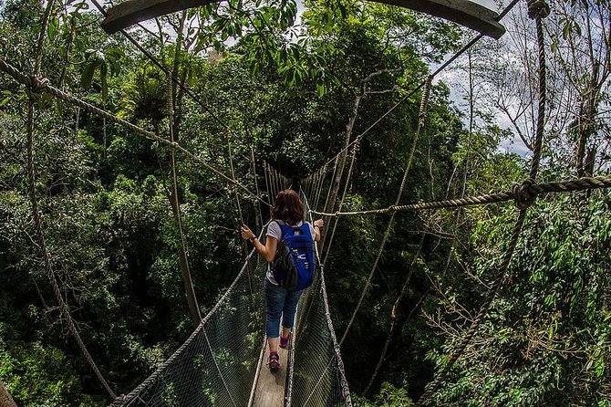 Full-Day Kinabalu Park and Poring Hot Spring Day Trip - Why Kinabalu Park deserves the long ride