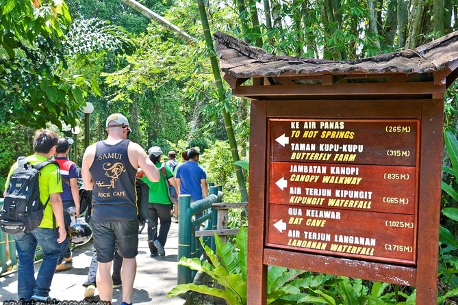 Full-Day Kinabalu Park and Poring Hot Spring Day Trip - The 41-metre Canopy Walkway