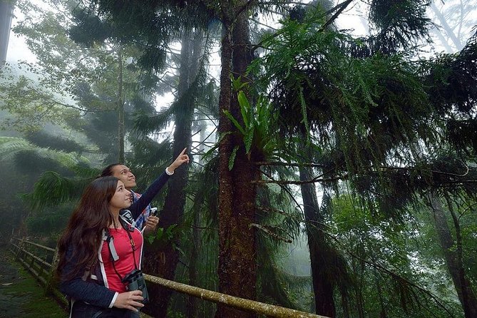 Full-Day Kinabalu Park and Poring Hot Spring Day Trip - Poring Hot Spring adds a relaxing second half