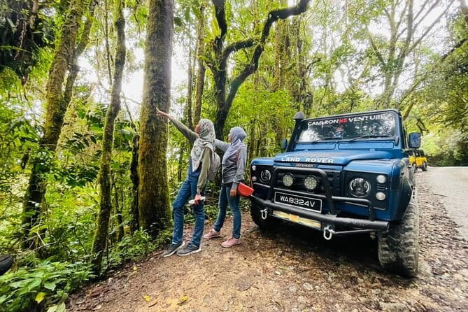 Full Day Mossy Forest Experience - Key points at a glance