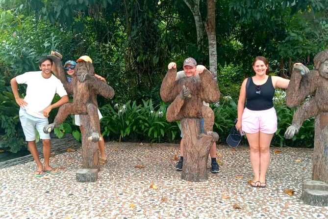 Full Day Orang Utan Sepilok, Proboscis Monkey, Sunbear, RDC - Why this wildlife day works so well