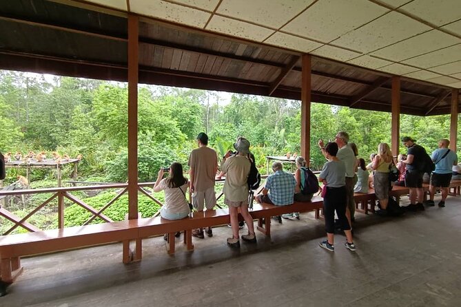 Full-Day Sepilok Orangutan and Proboscis Monkey from Sandakan or Kota Kinabalu - Lunch, timing, and the value of the package
