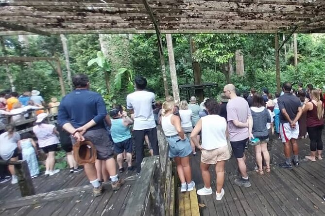 Full-Day Sepilok Orangutan and Sandakan City Trail from Kota Kinabalu - Puu Jih Shih Temple and the city’s Chinese influence