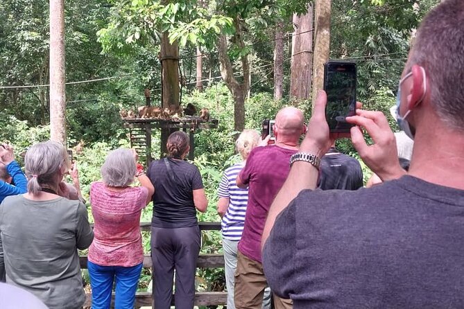 Full-Day Sepilok Orangutan and Sandakan City Trail from Kota Kinabalu - The flight plan from Kota Kinabalu