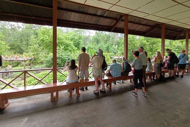 Full-Day Sepilok Orangutan and Sandakan City Trail from Kota Kinabalu - The rainforest walk beyond the viewing area