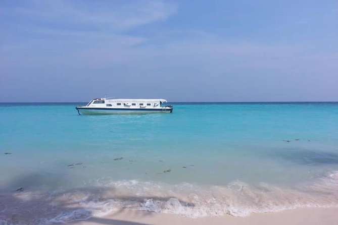 Full Day Tour in Mantanani - Mantanani Island is worth the long ride
