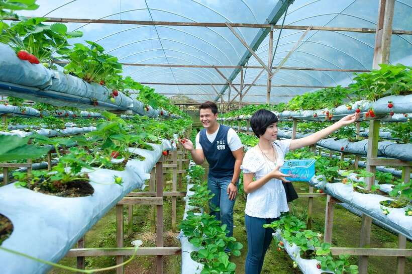 Genting Highland: Private Day Trip from Kuala Lumpur - Casino de Genting is an optional adult stop