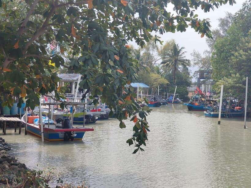 George Town: Balik Pulau Countryside Morning Cycling Tour - Farms, fresh produce, and small local encounters