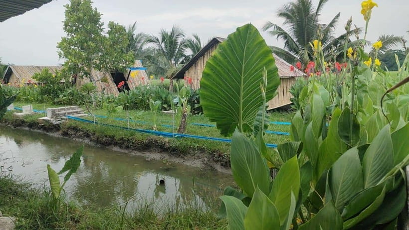 George Town: Balik Pulau Countryside Morning Cycling Tour - The container artwork and photo stops