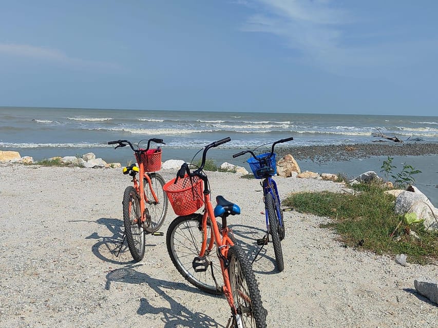 George Town: Balik Pulau Countryside Morning Cycling Tour - A countryside cafe and the midmorning break