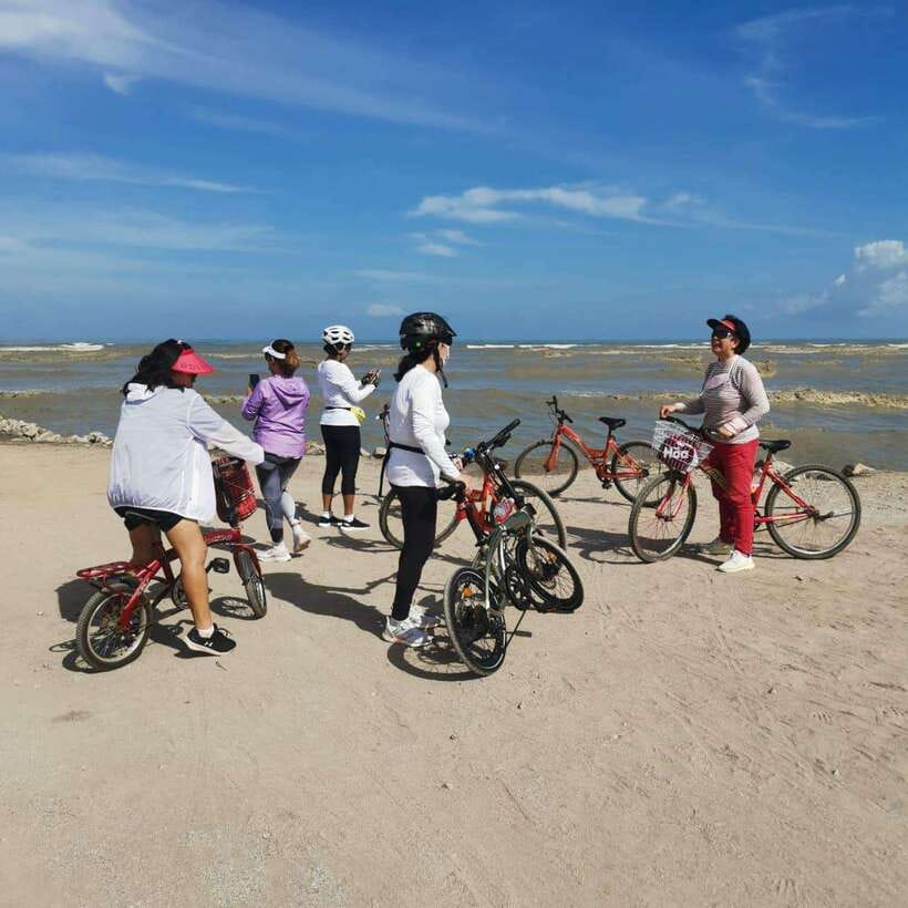 George Town: Balik Pulau Countryside Morning Cycling Tour - Bike quality and the practical side of the ride
