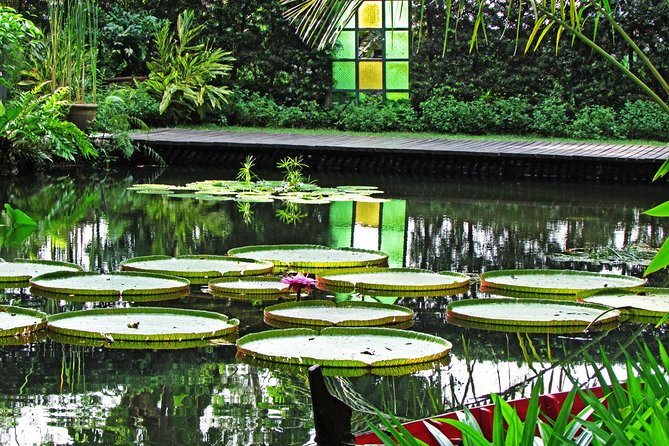 George Town Highlights & Upside Down Museum tours (4 Hours) - Coffee Tree, white coffee, and the pewter demonstration