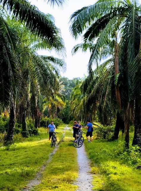 George Town, Penang: Malay Countryside Cycling - Coffee, local snacks, and goat milk ice cream