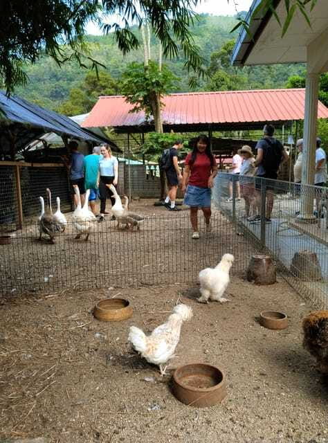 George Town, Penang: Malay Countryside Cycling - Heat, rain, and what to wear