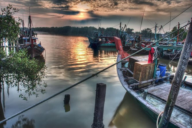 Glowing Kuala Selangor Firefly Tour - Why this Kuala Selangor outing works from Kuala Lumpur