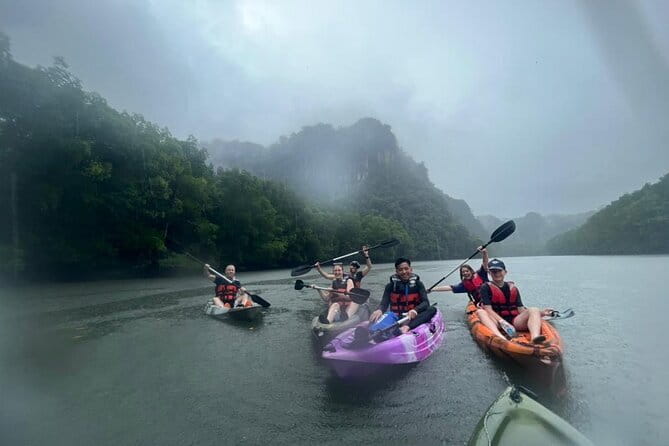 Half-day 4 Hours Kilim Mangrove Kayaking (Without hotel pickups) - Comfort, safety and what to bring