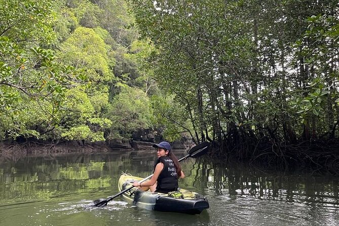 Half-Day Geopark Mangrove Kayaking Adventure - Paddling the first mangrove channel