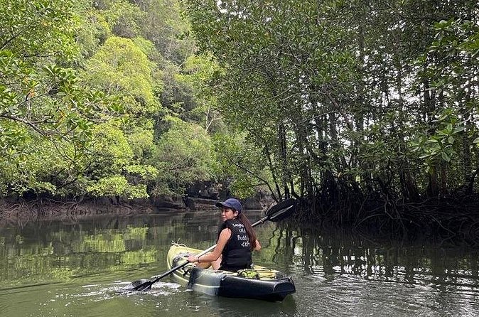 Half-Day Geopark Mangrove Kayaking Adventure - Limestone walls, fossils, and the second channel
