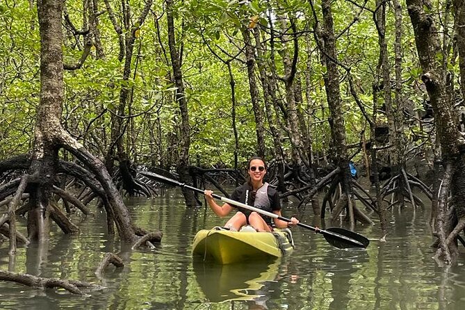 Half-Day Geopark Mangrove Kayaking Adventure - What the guide adds to the outing