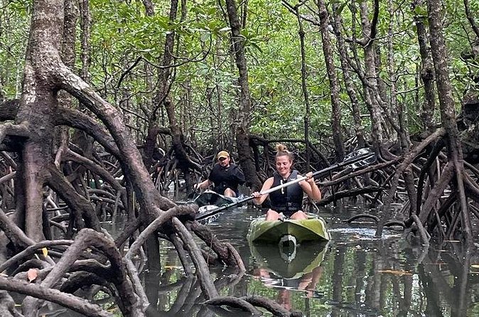 Half-Day Geopark Mangrove Kayaking Adventure - What the $67.68 price includes