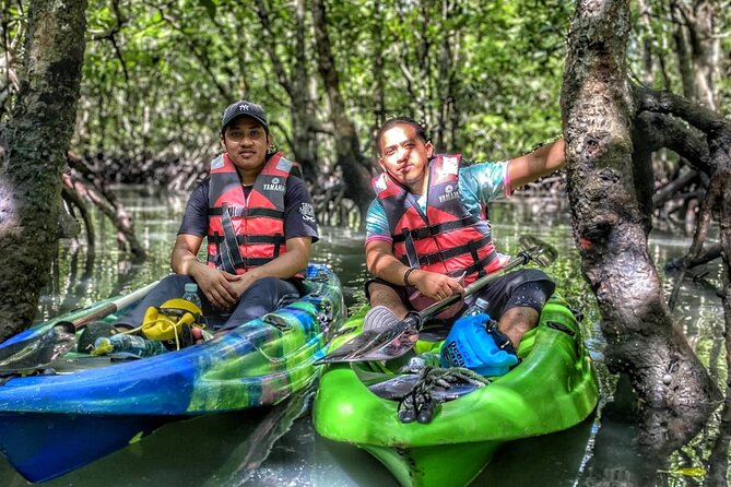 Half-Day Mangrove Kayaking in Langkawi - Why Kilim is a good place to kayak