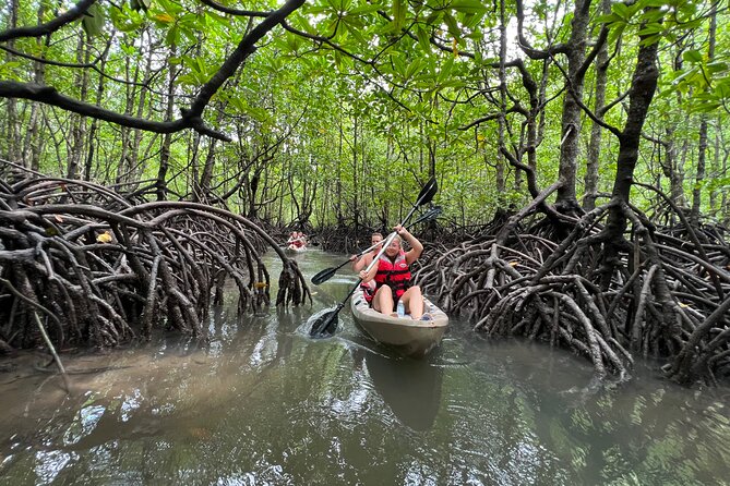 Half-Day Mangrove Kayaking in Langkawi - The boat transfer to the kayaking base