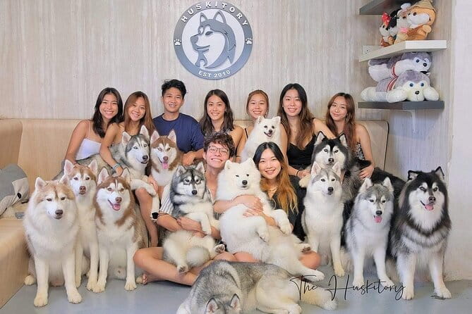Huskitory Connecting People and Dogs - Key points to know before you go