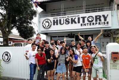 Huskitory Connecting People and Dogs