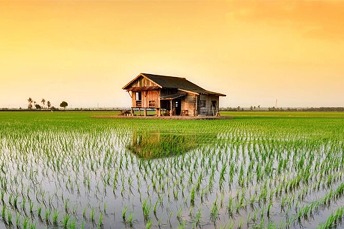 Instagrammable Kuala Selangor Sky Mirror Tour with Transfer - The boat to Sasaran Beach