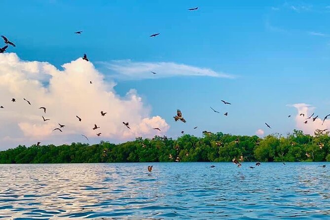 Instagrammable Kuala Selangor Sky Mirror Tour with Transfer - Sekinchan and the rice-growing story
