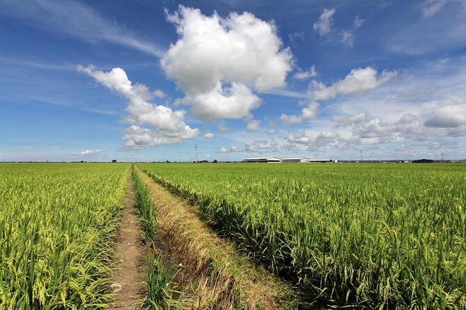 Instagrammable Kuala Selangor Sky Mirror Tour with Transfer - Who should book this day trip