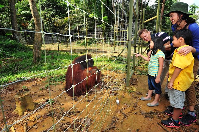 Ipoh Private Day Trip from Kuala Lumpur with Lunch - Orang Utan Island starts the day