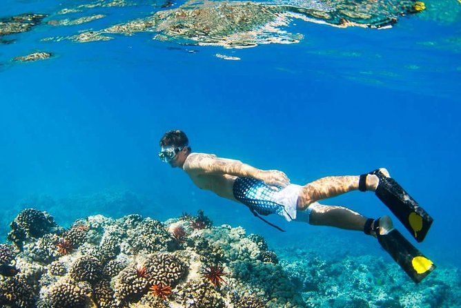Island Hopping Tour (2 Island) From Kota Kinabalu - Lunch, beach time, and the value of a six-hour day