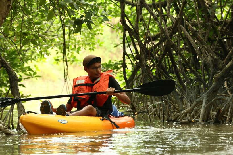 Johor: Sungai Lebam Kayaking with Transfer - A quiet paddle through mangrove country
