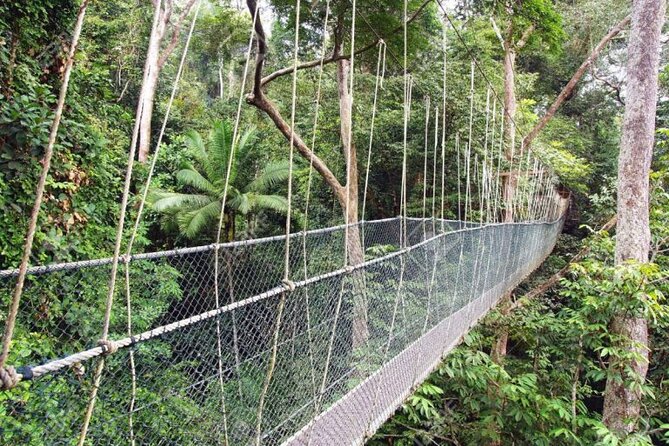 Jungle Odyssey: Unleash Your Adventure in Taman Negara! - What the $169.66 price covers