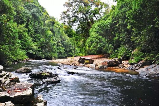 Jungle Odyssey: Unleash Your Adventure in Taman Negara! - What to bring and how to prepare