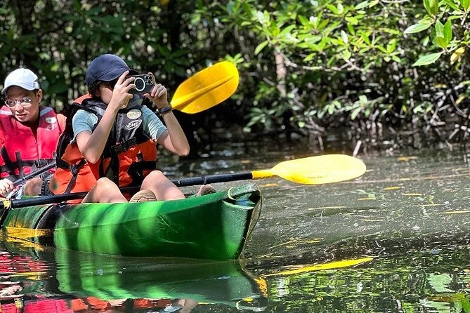 Kayaking Kilim Mangrove Geoforest - What the private guiding adds