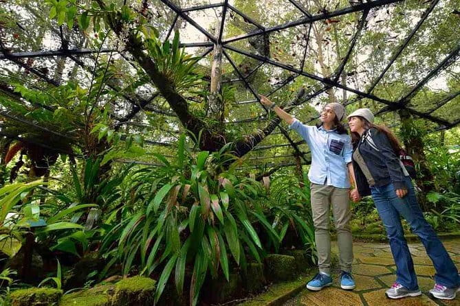 Kinabalu National Park Tour - Key points before you book